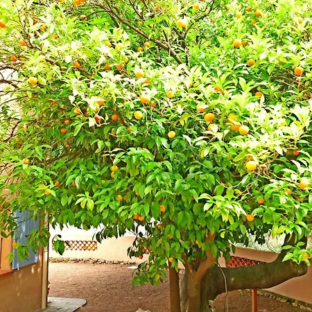 Le Trayas Superieur Дом отдыха Теуль-сюр-Мер