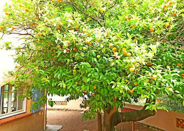 Le Trayas Supérieur Casa vacanze Théoule-sur-Mer